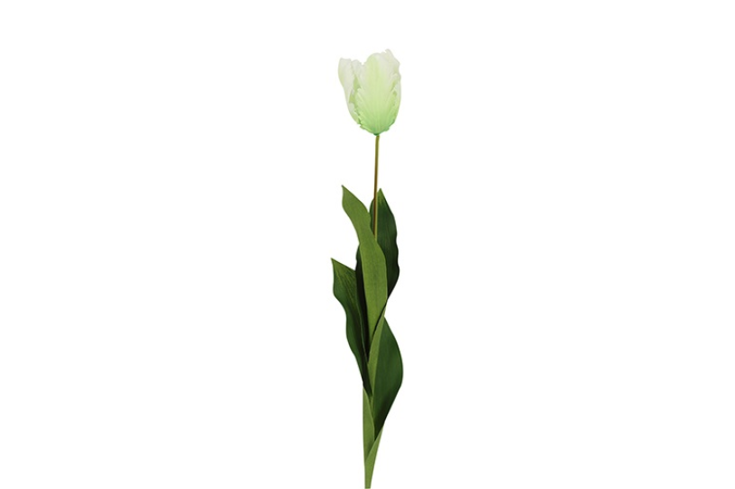 Countryfield kunstbloem tulipa (parrot french) wit 65cm
