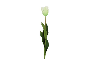 Countryfield kunstbloem tulipa (parrot french) wit 65cm