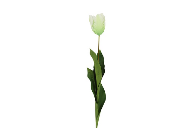 Countryfield kunstbloem tulipa (parrot french) wit 65cm