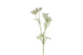 Countryfield kunstbloem anethum wit 80cm