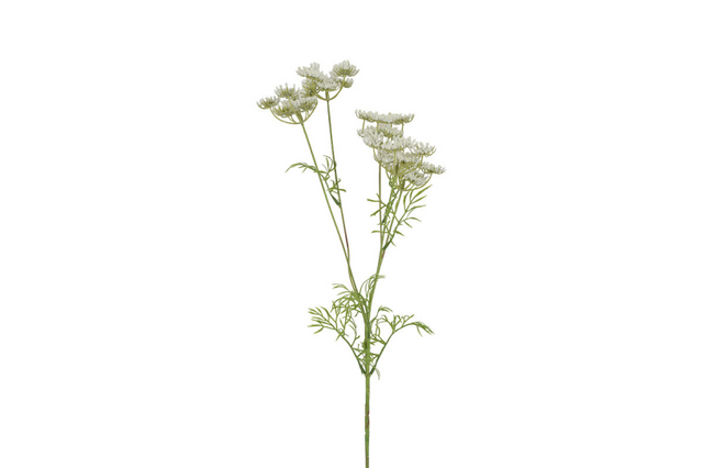 Countryfield kunstbloem anethum wit 80cm