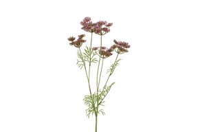Countryfield kunstbloem anethum paars 80cm