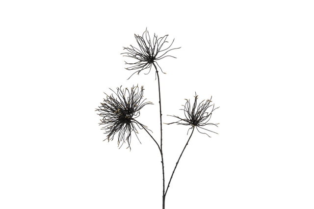 Countryfield kunstbloem grevillea s zwart 94cm