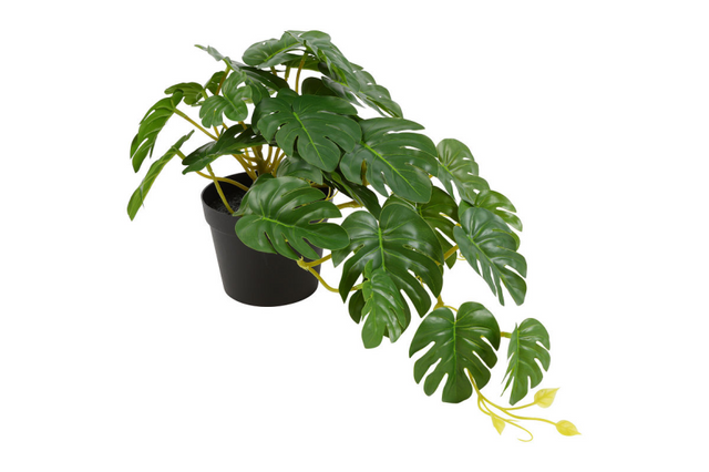 Countryfield kunstplant hang monstera groen 23x25x28cm