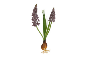 Countryfield kunstbloem muscari blauw 22x5x22cm