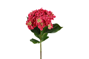 Countryfield kunstbloem hydrangea l fuchsia 12x12x67cm