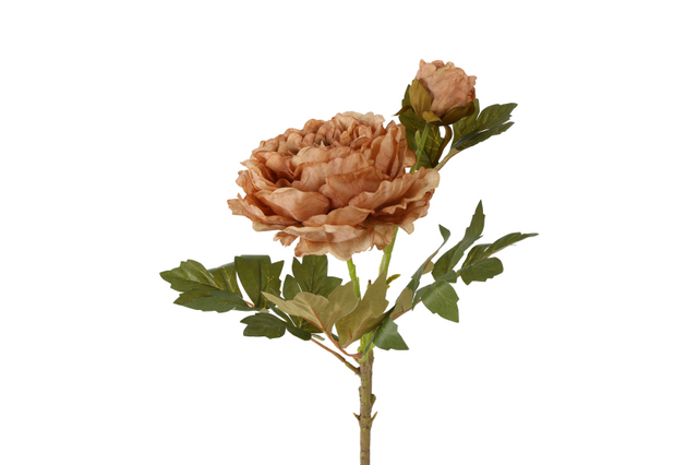 Countryfield bloem paeonia miranda 20x20x70cm - bruin
