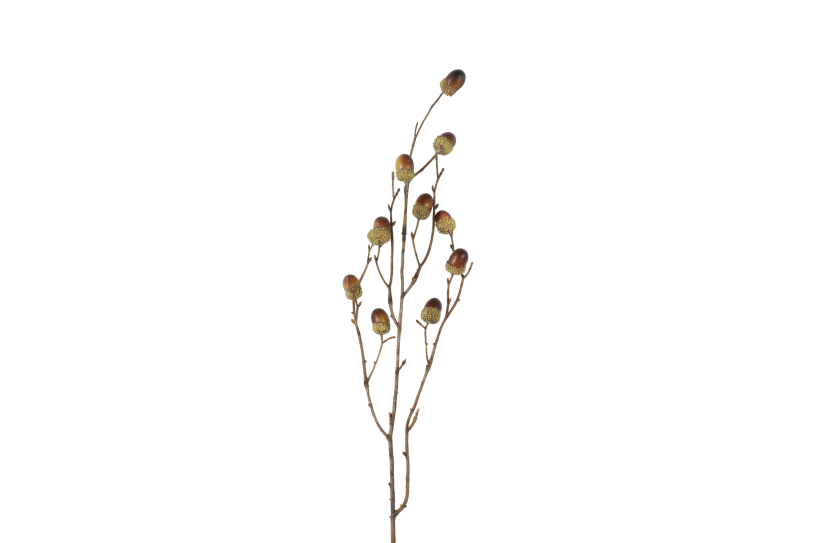 Countryfield tak qurecus m 4x17x76cm - bruin