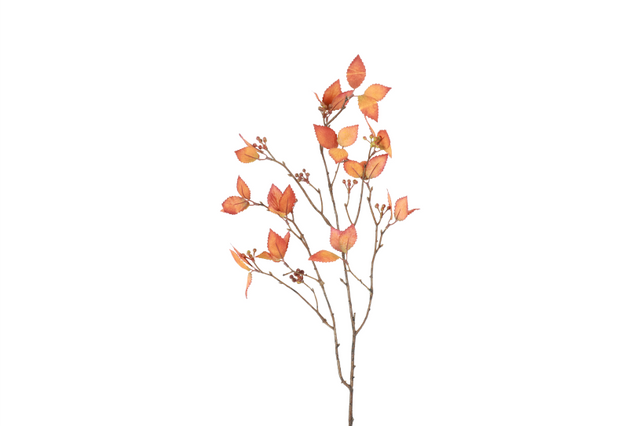 Countryfield blad betula 25x8x78cm - oranje