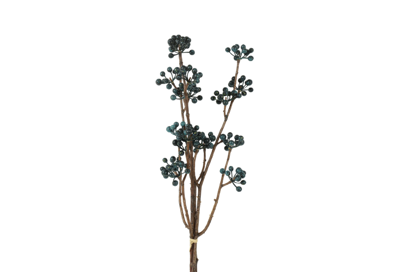 Countryfield bundel hedera helix l 15x6x61cm - blauw