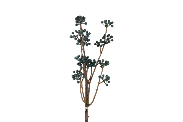 Countryfield bundel hedera helix l 15x6x61cm - blauw
