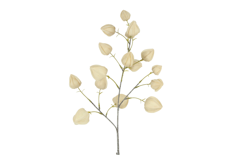 Countryfield bloem physalis 16x16x82cm - beige