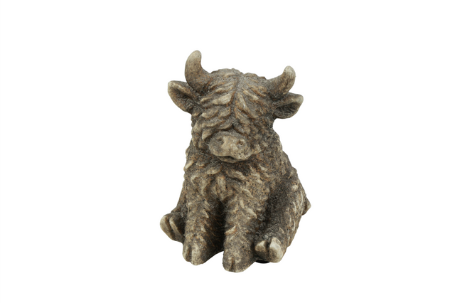 Countryfield schotse hooglander zittend yuki xs 9,5x14cm