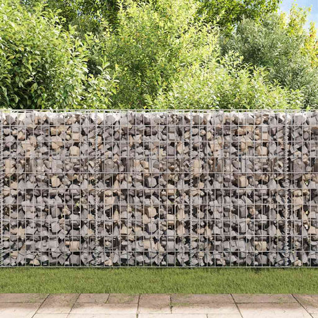 Vidaxl gabion mand 120x30x100 cm gegalvaniseerd staal