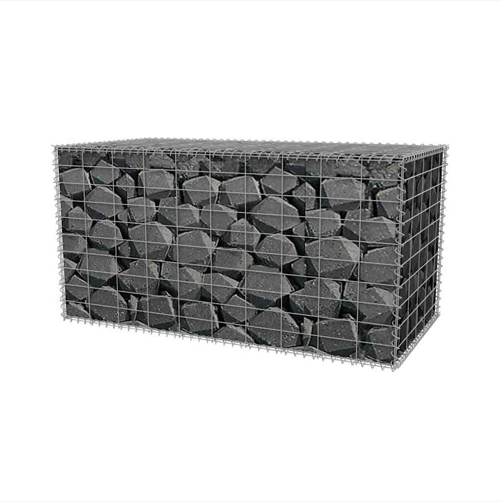 Vidaxl Gabion Basket 100x50x50 cm Acciaio zincato