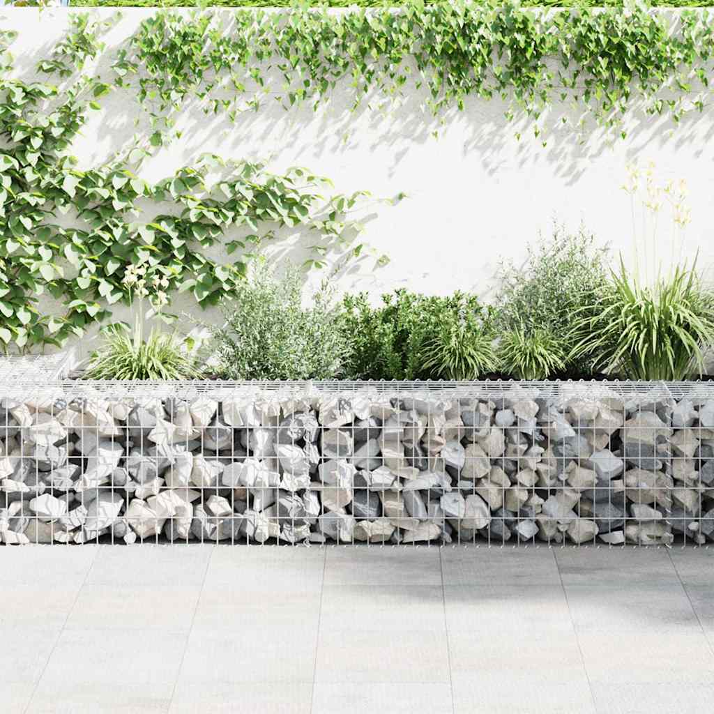 Vidaxl Gabion Basket 100x50x50 cm Acciaio zincato