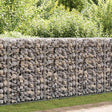 Vidaxl gabion mand 200x50x100 cm gegalvaniseerd staal