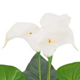 Vidaxl Art Calla Lelie Plant con pentola da 45 cm bianco