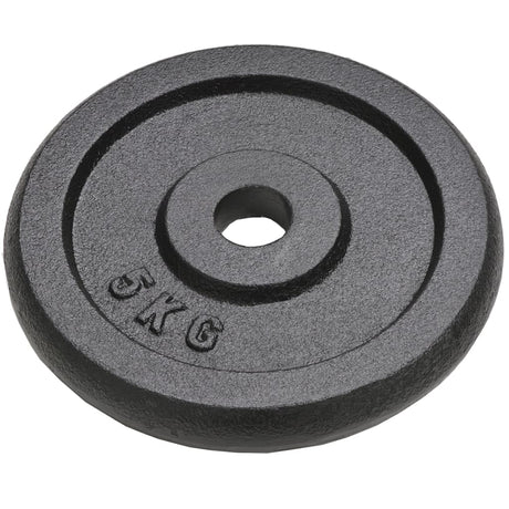 Vidaxl halterschijven 4 st 4x5 kg gietijzer