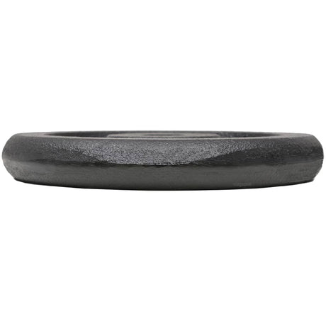 Vidaxl halterschijven 4 st 4x5 kg gietijzer