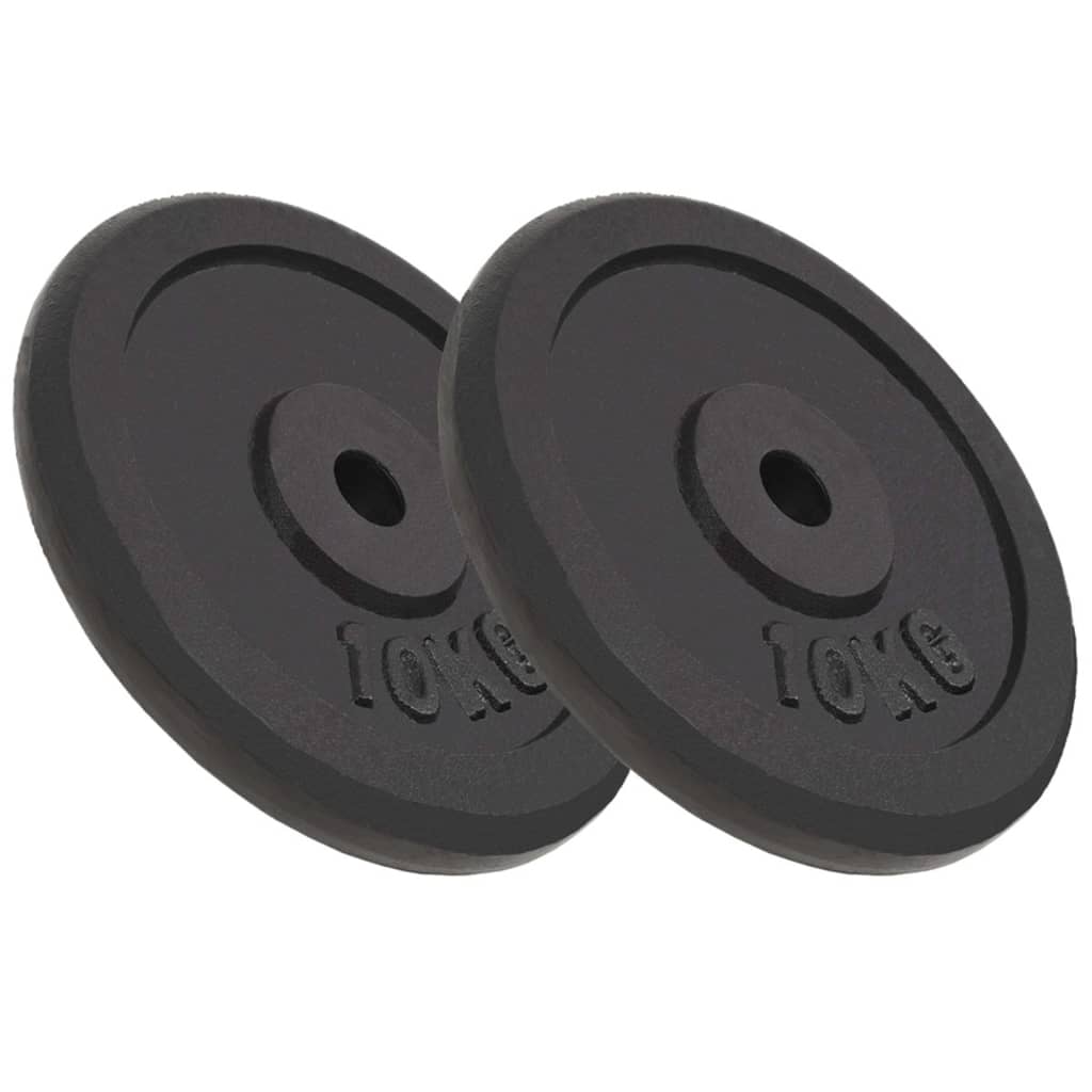 Disques licou vidaxl 2 pcs 2x10 kg en fonte