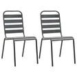 Vidaxl tuinstoelen stapelbaar 2 st staal grijs