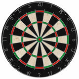 Vidaxl dartboard professionnel avec 6 fléchettes sisal