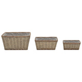 Vidaxl Planters oppdratt 3 st Wicker med PE -fôr