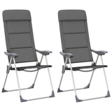 Vidaxl campingstoelen 58x69x111 cm aluminium grijs 2 st