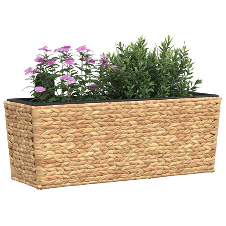 Vidaxl plantenbakken 2 st waterhyacint