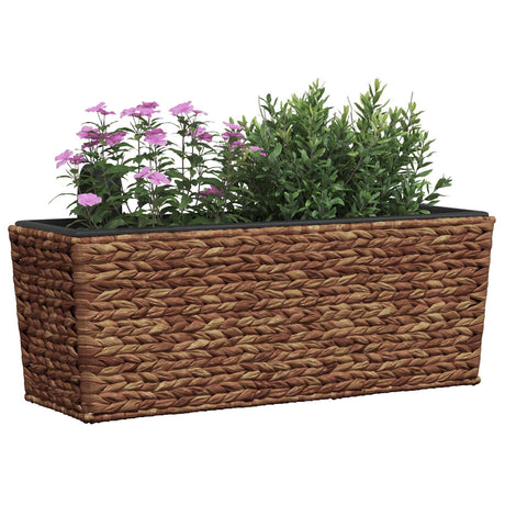 Vidaxl plantenbakken 2 st waterhyacint bruin