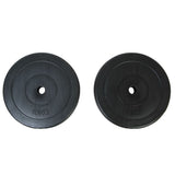 Disques licou vidaxl 2 x 10 kg