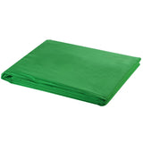 Vidaxl Sfondo senza Chromakey standard 300x300 cm di cotone verde