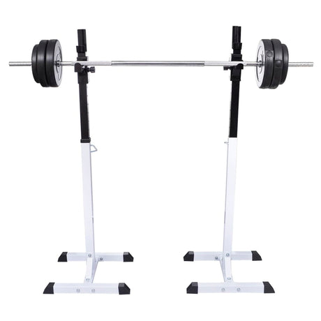 Vidaxl halter- en gewichtenstandaard