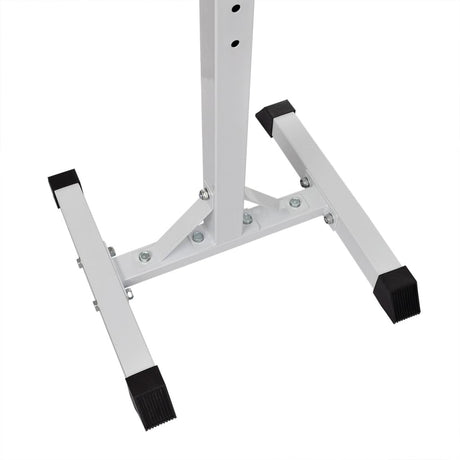 Vidaxl halter- en gewichtenstandaard