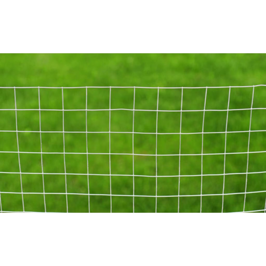 Vidaxl Chicken Wire 10x1 m galwanizowany stalowy srebrny kolor