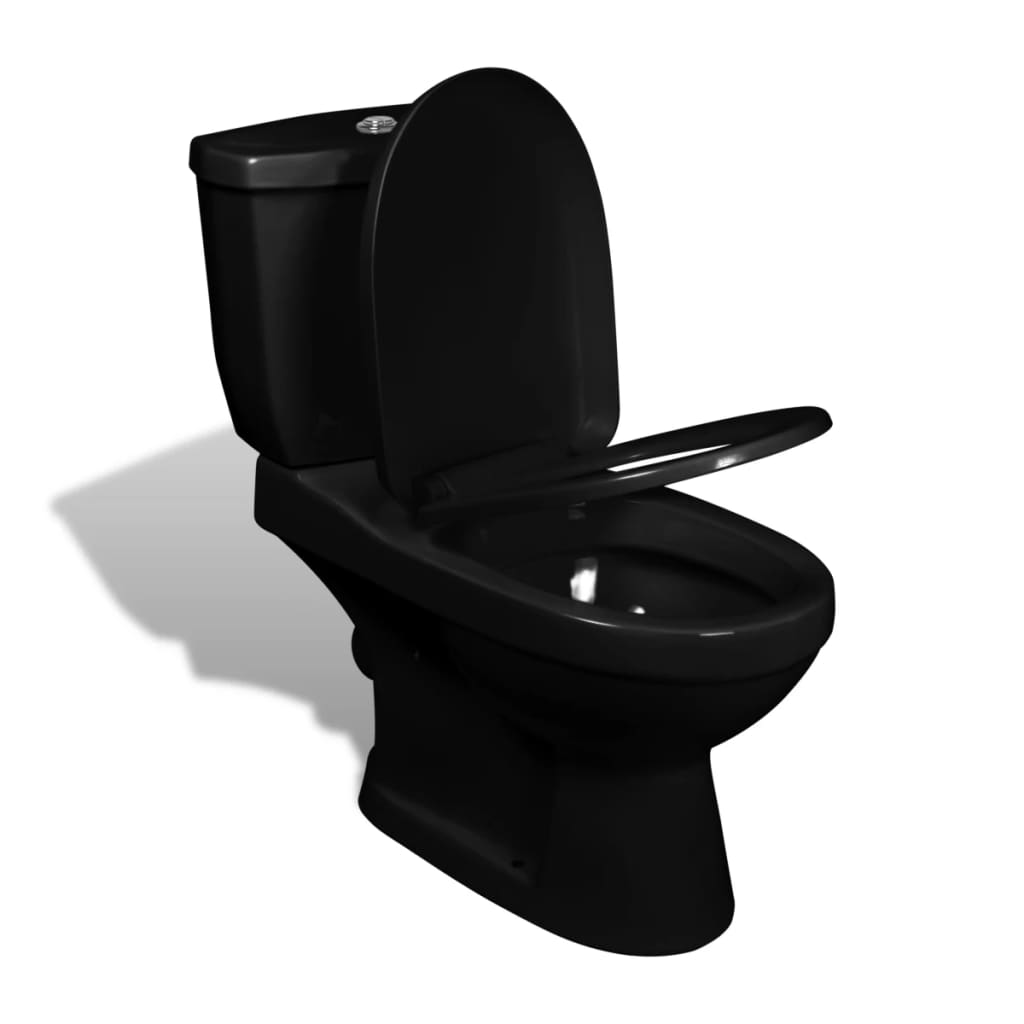 Vidaxl toilet with cistern black