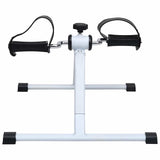 VidaXL exercise bike mini