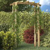 VidaXL Garden arch 150x60x210 cm wood