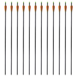 Vidaxl pijlen compoundboog standaard 30 0,8 cm glasvezel 12 stuks