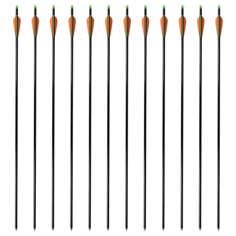 Vidaxl pijlen compoundboog standaard 30 0,8 cm glasvezel 12 stuks