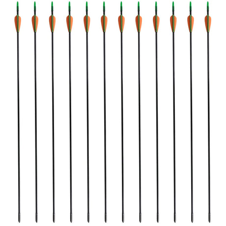 Vidaxl recurveboog standaard met pijlen 30 0,6 cm glasvezel 12 stuks