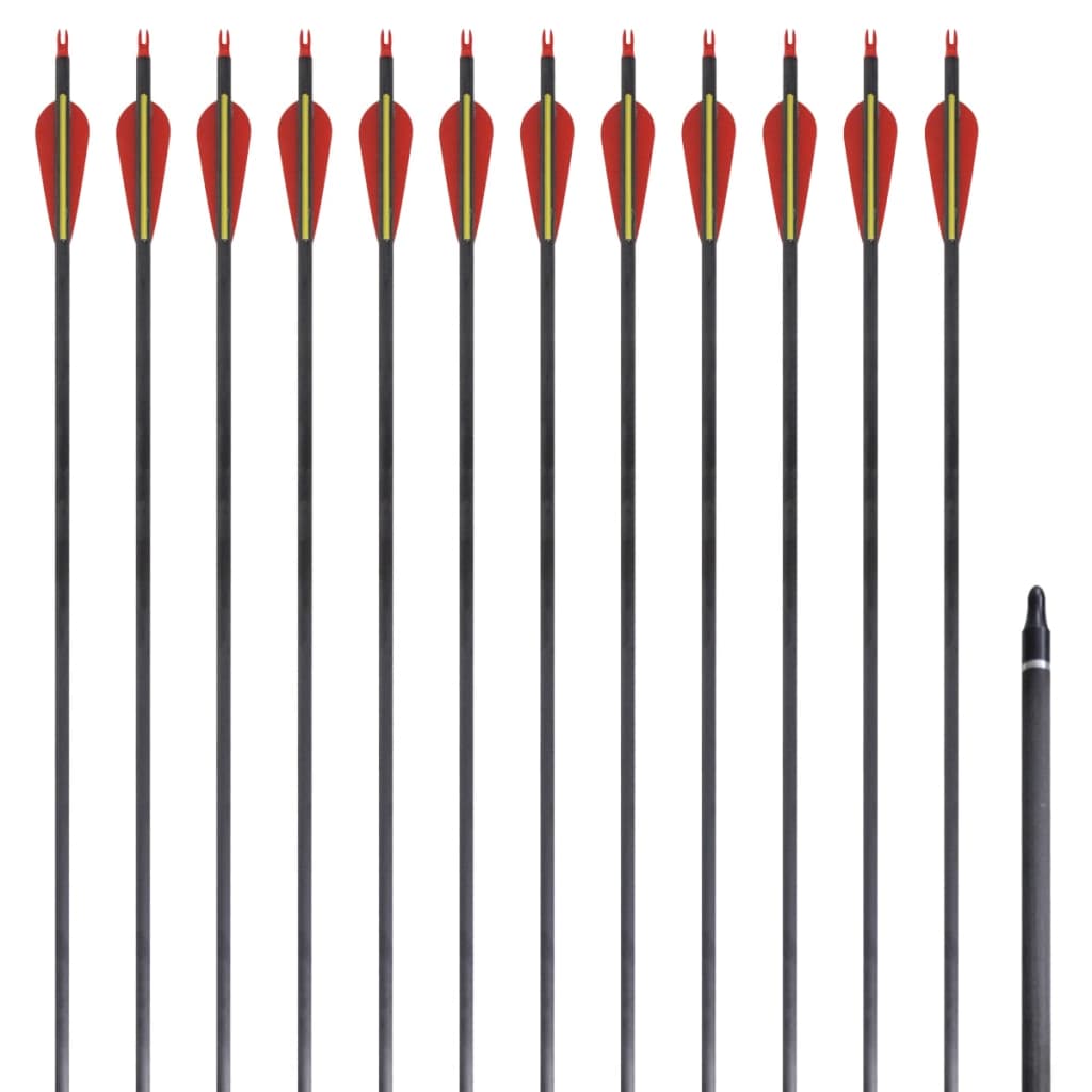 Vidaxl arrows for recurvebog standard 30 0.76 cm carbon 12 pieces