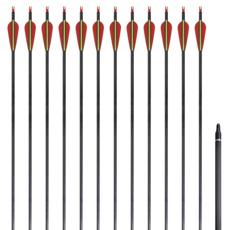 Vidaxl pijlen voor recurveboog standaard 30 0,76 cm koolstof 12 stuks