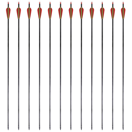 Vidaxl pijlen voor recurveboog standaard 30 0,76 cm koolstof 12 stuks
