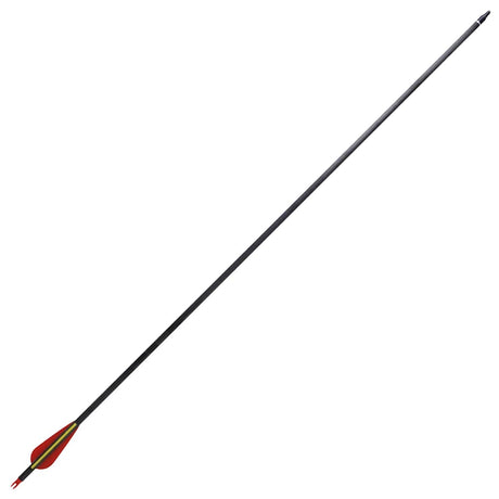 Vidaxl pijlen voor recurveboog standaard 30 0,76 cm koolstof 12 stuks