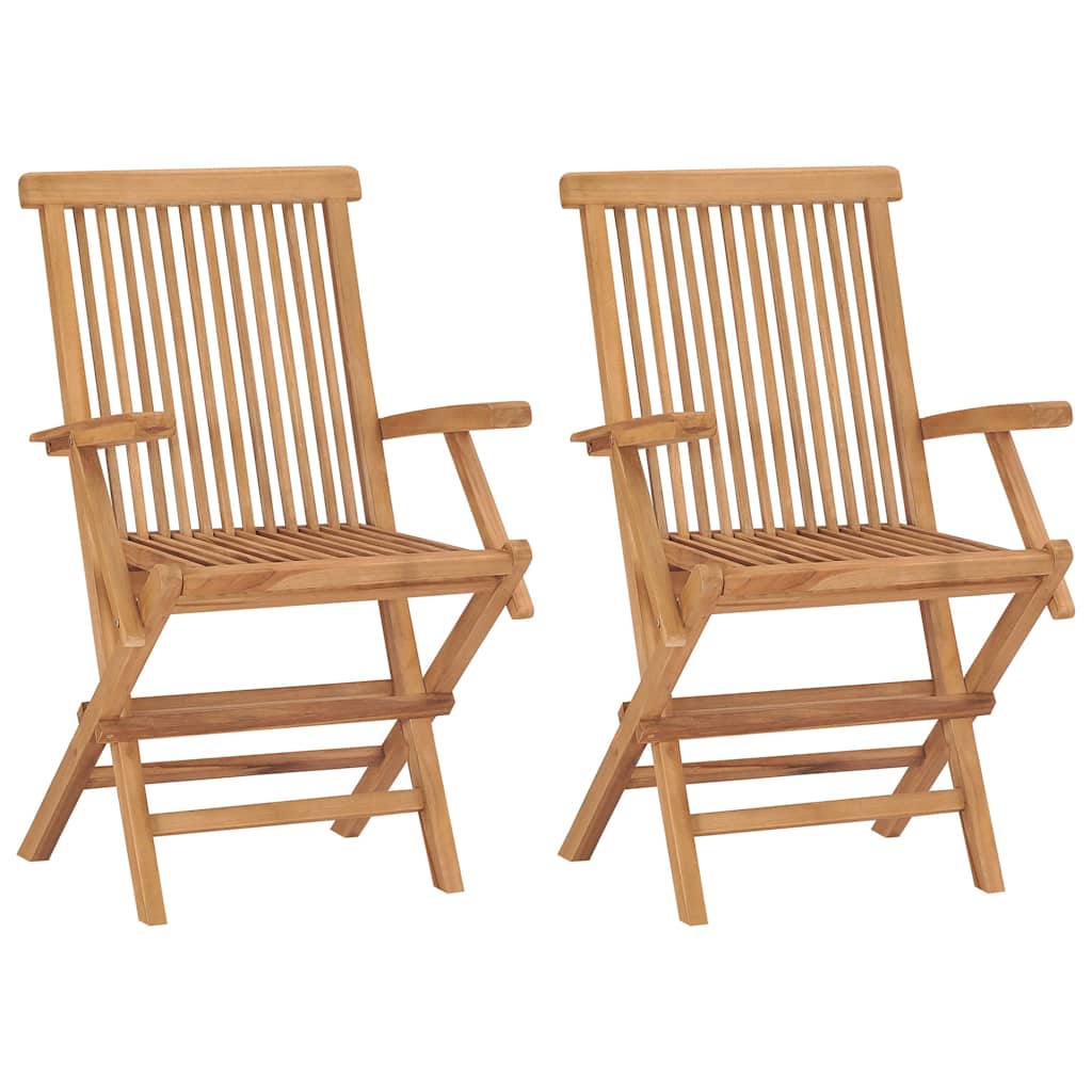 Vidaxl tuinstoelen inklapbaar 2 st massief teakhout