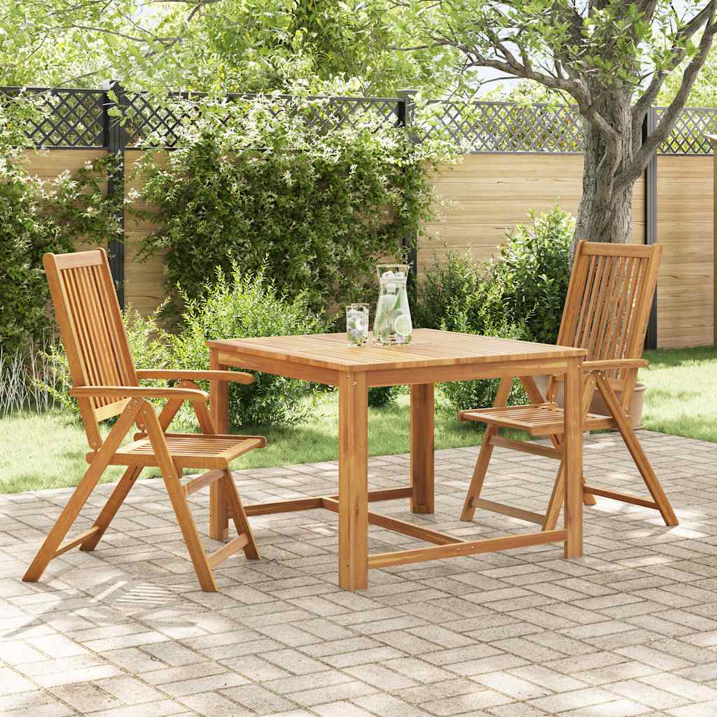 Vidaxl tuinstoelen inklapbaar 2 st massief acaciahout bruin