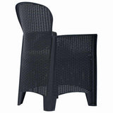 Vidaxl tuinstoelen 2 st met kussen rattan-look kunststof antraciet