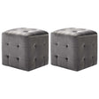 Vidaxl nachtkastjes 2 st 30x30x30 cm fluweel grijs